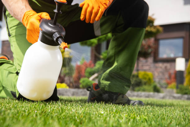 Best Pest Removal Services  in Hewitt, NJ